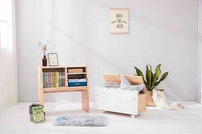 Toy Storage with Bench